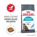 Royal Canin ROYAL CANIN FCN Urinary Care - sucha karma dla kota dorosłego - 10 kg