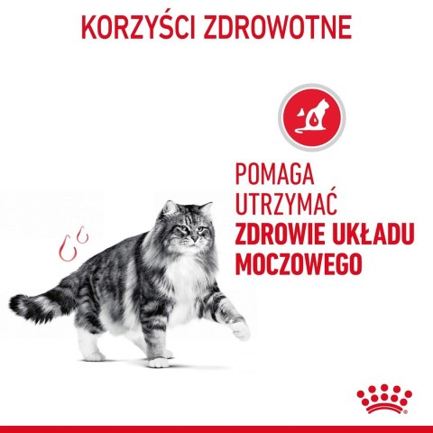 Royal Canin ROYAL CANIN FCN Urinary Care w sosie - mokra karma dla kota dorosłego - 12x85g Royal Canin ROYAL CANIN FCN Urinary Care w sosie - mokra karma dla kota dorosłego - 12x85g