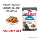 Royal Canin ROYAL CANIN FCN Urinary Care w sosie - mokra karma dla kota dorosłego - 12x85g