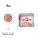 Royal Canin ROYAL CANIN FHN Babycat Instinctive Feline mus - mokra karma dla kociąt - puszka - 195 g