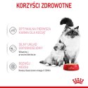 Royal Canin ROYAL CANIN FHN Babycat Instinctive Feline mus - mokra karma dla kociąt - puszka - 195 g