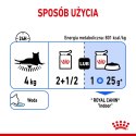 Royal Canin ROYAL CANIN FHN Indoor w galaretce - mokra karma dla kota dorosłego - 12x85 g