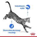 Royal Canin ROYAL CANIN FHN Indoor w galaretce - mokra karma dla kota dorosłego - 12x85 g