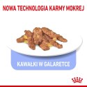 Royal Canin ROYAL CANIN FHN Indoor w galaretce - mokra karma dla kota dorosłego - 12x85 g