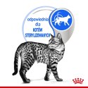 Royal Canin ROYAL CANIN FHN Indoor w galaretce - mokra karma dla kota dorosłego - 12x85 g