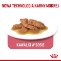 Royal Canin ROYAL CANIN FHN Indoor w sosie - mokra karma dla kota dorosłego - 12x85g