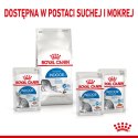 Royal Canin ROYAL CANIN FHN Indoor w sosie - mokra karma dla kota dorosłego - 12x85g