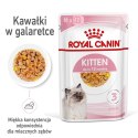 Royal Canin ROYAL CANIN FHN Kitten Instinctive in Jelly - mokra karma dla kociąt - 12x85g