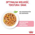 Royal Canin ROYAL CANIN FHN Kitten Instinctive in Jelly - mokra karma dla kociąt - 12x85g