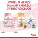 Royal Canin ROYAL CANIN FHN Kitten Instinctive in Jelly - mokra karma dla kociąt - 12x85g