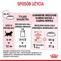 Royal Canin ROYAL CANIN FHN Kitten Instinctive in Jelly - mokra karma dla kociąt - 12x85g