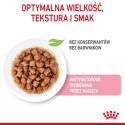 Royal Canin ROYAL CANIN FHN Kitten Sterilised w sosie - mokra karma dla kociąt - 12x85 g