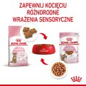 Royal Canin ROYAL CANIN FHN Kitten Sterilised w sosie - mokra karma dla kociąt - 12x85 g