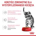 Royal Canin ROYAL CANIN FHN Kitten Sterilised w sosie - mokra karma dla kociąt - 12x85 g