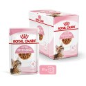 Royal Canin ROYAL CANIN FHN Kitten Sterilised w sosie - mokra karma dla kociąt - 12x85 g