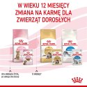 Royal Canin ROYAL CANIN FHN Kitten Sterilised w sosie - mokra karma dla kociąt - 12x85 g