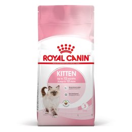 Royal Canin ROYAL CANIN FHN Kitten - sucha karma dla kociąt - 10kg