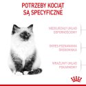 Royal Canin ROYAL CANIN FHN Kitten - sucha karma dla kociąt - 10kg