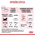 Royal Canin ROYAL CANIN FHN Kitten - sucha karma dla kociąt - 10kg