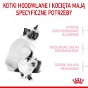 Royal Canin ROYAL CANIN FHN Mother&Babycat - sucha karma dla kociąt - 4kg