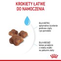 Royal Canin ROYAL CANIN FHN Mother&Babycat - sucha karma dla kociąt - 4kg