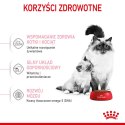 Royal Canin ROYAL CANIN FHN Mother&Babycat - sucha karma dla kociąt - 4kg