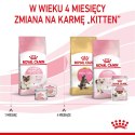 Royal Canin ROYAL CANIN FHN Mother&Babycat - sucha karma dla kociąt - 4kg