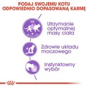 Royal Canin ROYAL CANIN FHN Sterilised w galaretce - mokra karma dla kota dorosłego - 12x85g