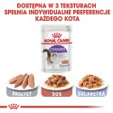 Royal Canin ROYAL CANIN FHN Sterilised w sosie - mokra karma dla kota dorosłego - 12x85g