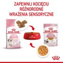 Royal Canin Royal Canin FHN Kitten Instinctive w galaretce - mokra karma dla kociąt - 12x85g