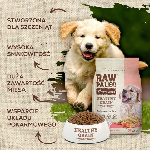 VetExpert VetExpert Raw Paleo Healthy Grain Salmon&Barley Puppy - Karma sucha dla psów - 10kg VetExpert VetExpert Raw Paleo Healthy Grain Salmon&Barley Puppy - Karma sucha dla psów - 10kg
