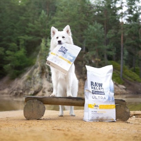 VetExpert VetExpert Raw Paleo Ultra Indyk Medium&Large Adult 10kg VetExpert VetExpert Raw Paleo Ultra Indyk Medium&Large Adult 10kg