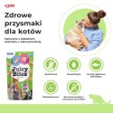 INABA INABA Juicy Bites O smaku domowego bulionu i kalmara - przysmak dla kota - 3x11,3 g