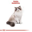 Royal Canin Karma Royal Canin FBN Ragdoll (0,40 kg )