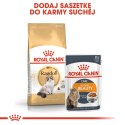 Royal Canin Karma Royal Canin FBN Ragdoll (0,40 kg )