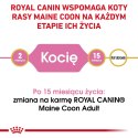 Royal Canin ROYAL CANIN FBN Maine Coon Kitten - sucha karma dla kociąt - 2kg