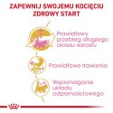 Royal Canin ROYAL CANIN FBN Maine Coon Kitten - sucha karma dla kociąt - 2kg