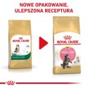 Royal Canin ROYAL CANIN FBN Maine Coon Kitten - sucha karma dla kociąt - 2kg