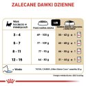 Royal Canin ROYAL CANIN FBN Maine Coon Kitten - sucha karma dla kociąt - 2kg