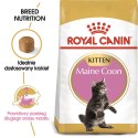 Royal Canin ROYAL CANIN FBN Maine Coon Kitten - sucha karma dla kociąt - 2kg