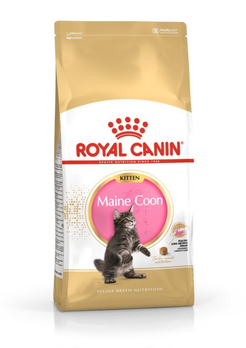 Royal Canin ROYAL CANIN FBN Maine Coon Kitten - sucha karma dla kociąt - 4kg Royal Canin ROYAL CANIN FBN Maine Coon Kitten - sucha karma dla kociąt - 4kg