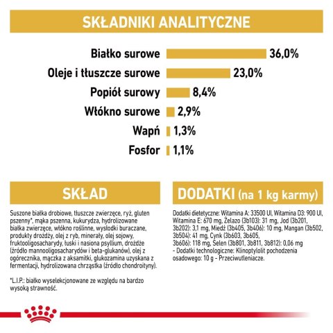 Royal Canin ROYAL CANIN FBN Maine Coon Kitten - sucha karma dla kociąt - 4kg Royal Canin ROYAL CANIN FBN Maine Coon Kitten - sucha karma dla kociąt - 4kg