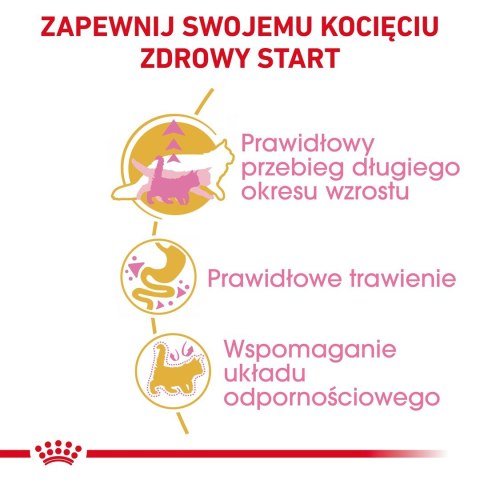 Royal Canin ROYAL CANIN FBN Maine Coon Kitten - sucha karma dla kociąt - 4kg Royal Canin ROYAL CANIN FBN Maine Coon Kitten - sucha karma dla kociąt - 4kg