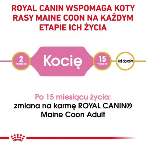 Royal Canin ROYAL CANIN FBN Maine Coon Kitten - sucha karma dla kociąt - 4kg Royal Canin ROYAL CANIN FBN Maine Coon Kitten - sucha karma dla kociąt - 4kg