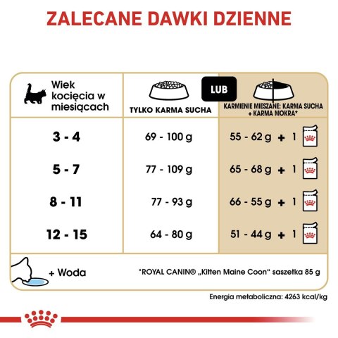 Royal Canin ROYAL CANIN FBN Maine Coon Kitten - sucha karma dla kociąt - 4kg Royal Canin ROYAL CANIN FBN Maine Coon Kitten - sucha karma dla kociąt - 4kg