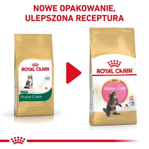 Royal Canin ROYAL CANIN FBN Maine Coon Kitten - sucha karma dla kociąt - 4kg Royal Canin ROYAL CANIN FBN Maine Coon Kitten - sucha karma dla kociąt - 4kg