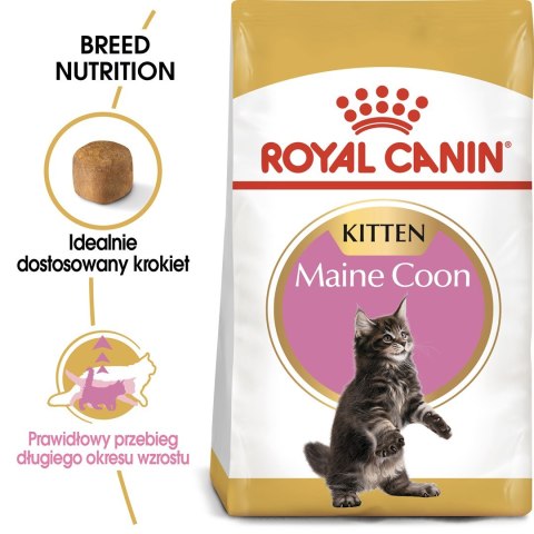 Royal Canin ROYAL CANIN FBN Maine Coon Kitten - sucha karma dla kociąt - 4kg Royal Canin ROYAL CANIN FBN Maine Coon Kitten - sucha karma dla kociąt - 4kg