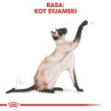 Royal Canin ROYAL CANIN FBN Siamese Adult - sucha karma dla dorosłego kota - 2kg