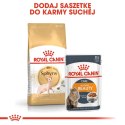 Royal Canin ROYAL CANIN FBN Sphynx Adult - sucha karma dla dorosłego kota - 2kg