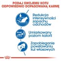 Royal Canin ROYAL CANIN FHN Indoor - sucha karma dla kota dorosłego - 4kg